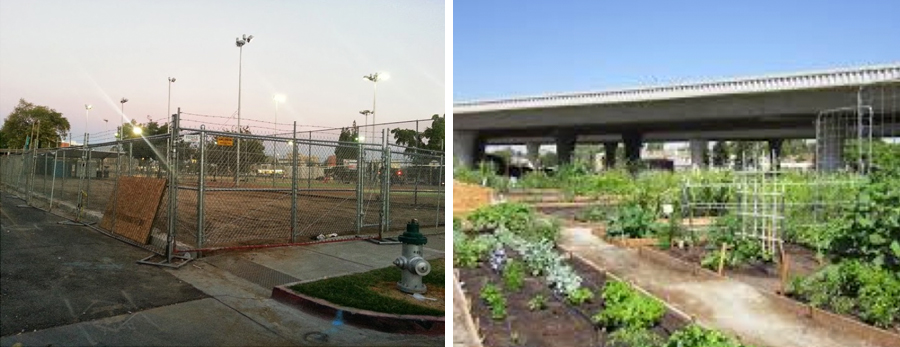See how local programs have transformed communities within Fresno, CA.