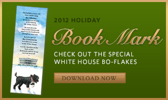 2012 Holiday Book Mark