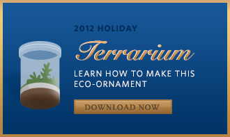 Terrarium Craft