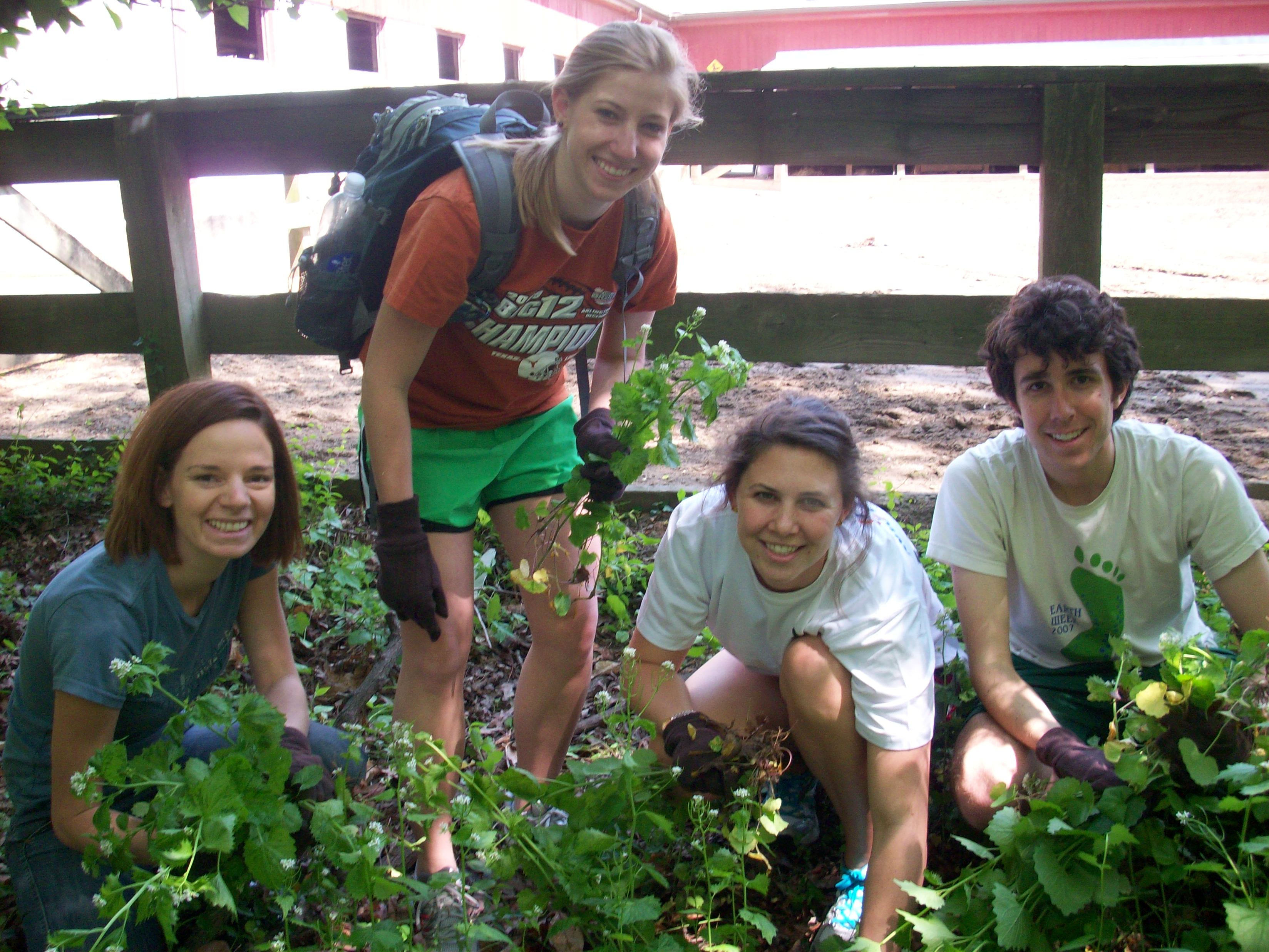 CEQ interns