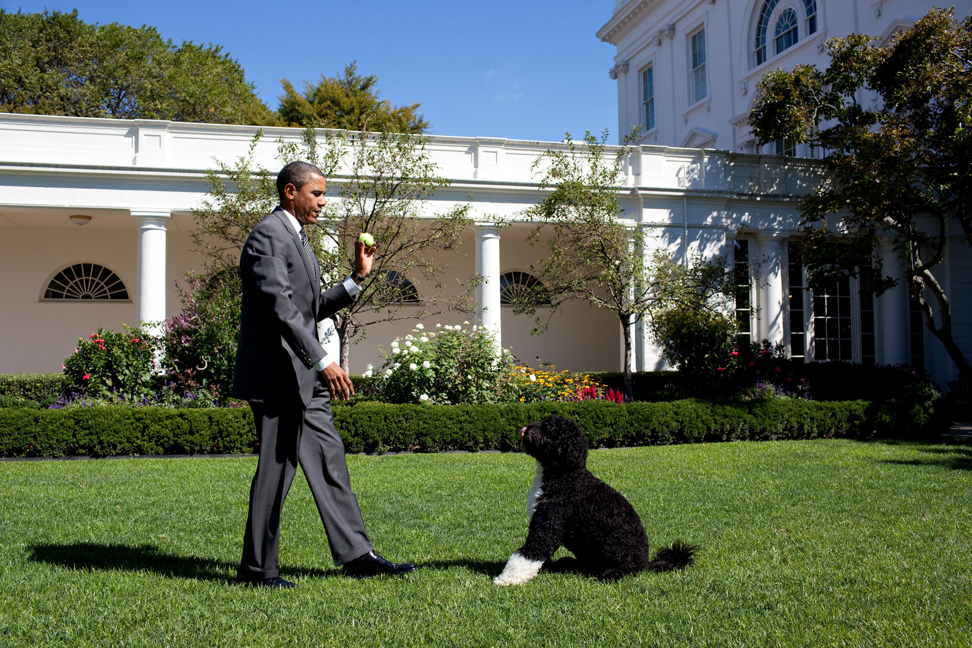 The President Throws Bo the Ball