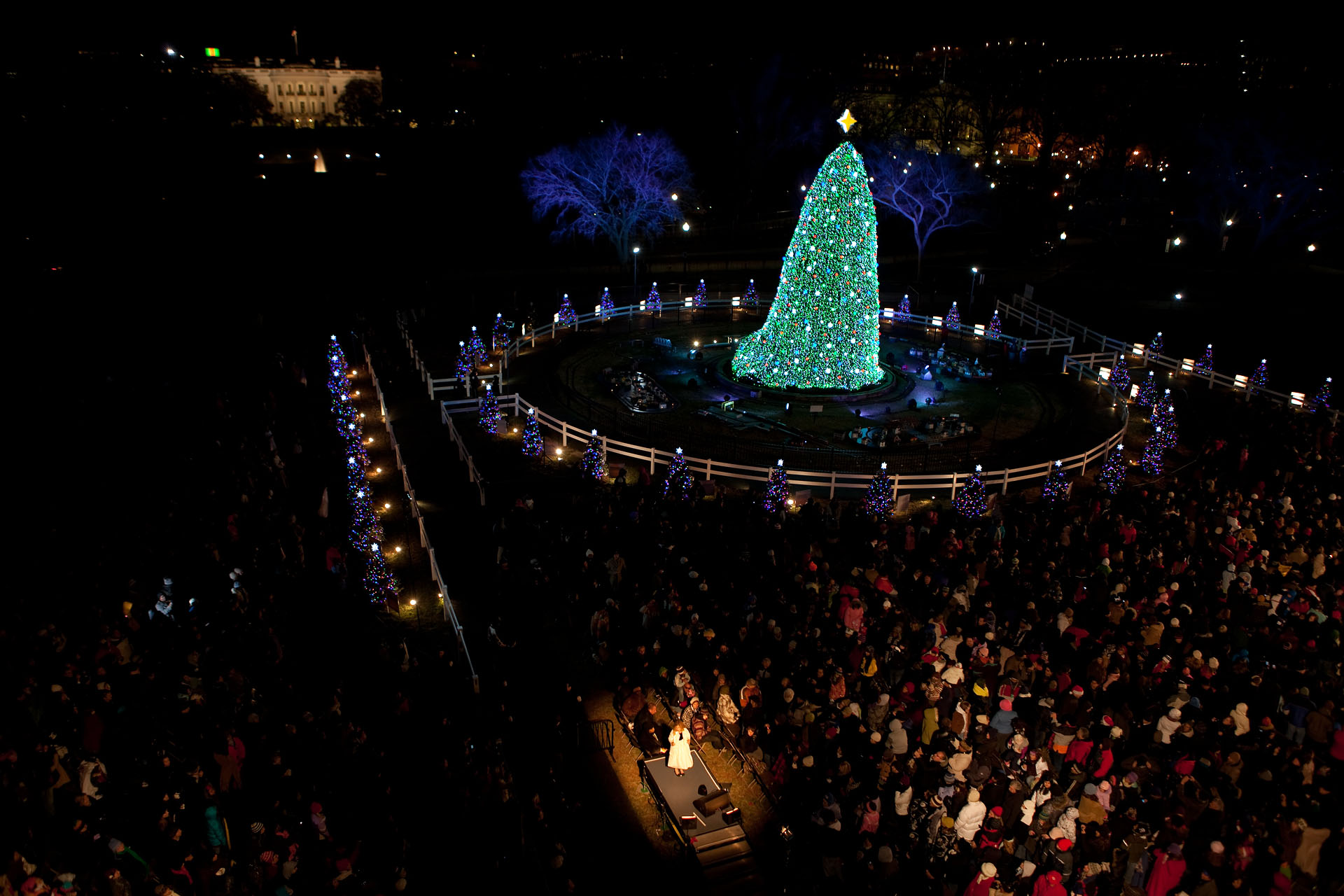 The National Christmas Tree Shines Bright