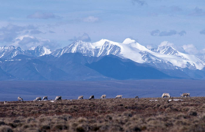 Arctic National Wildlife Refuge