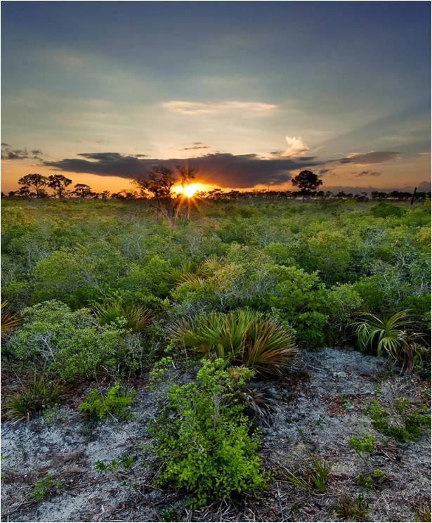 Lake Wales National Wildlife Refuge, which is on the edge of the proposed 150,000 acre study area. 