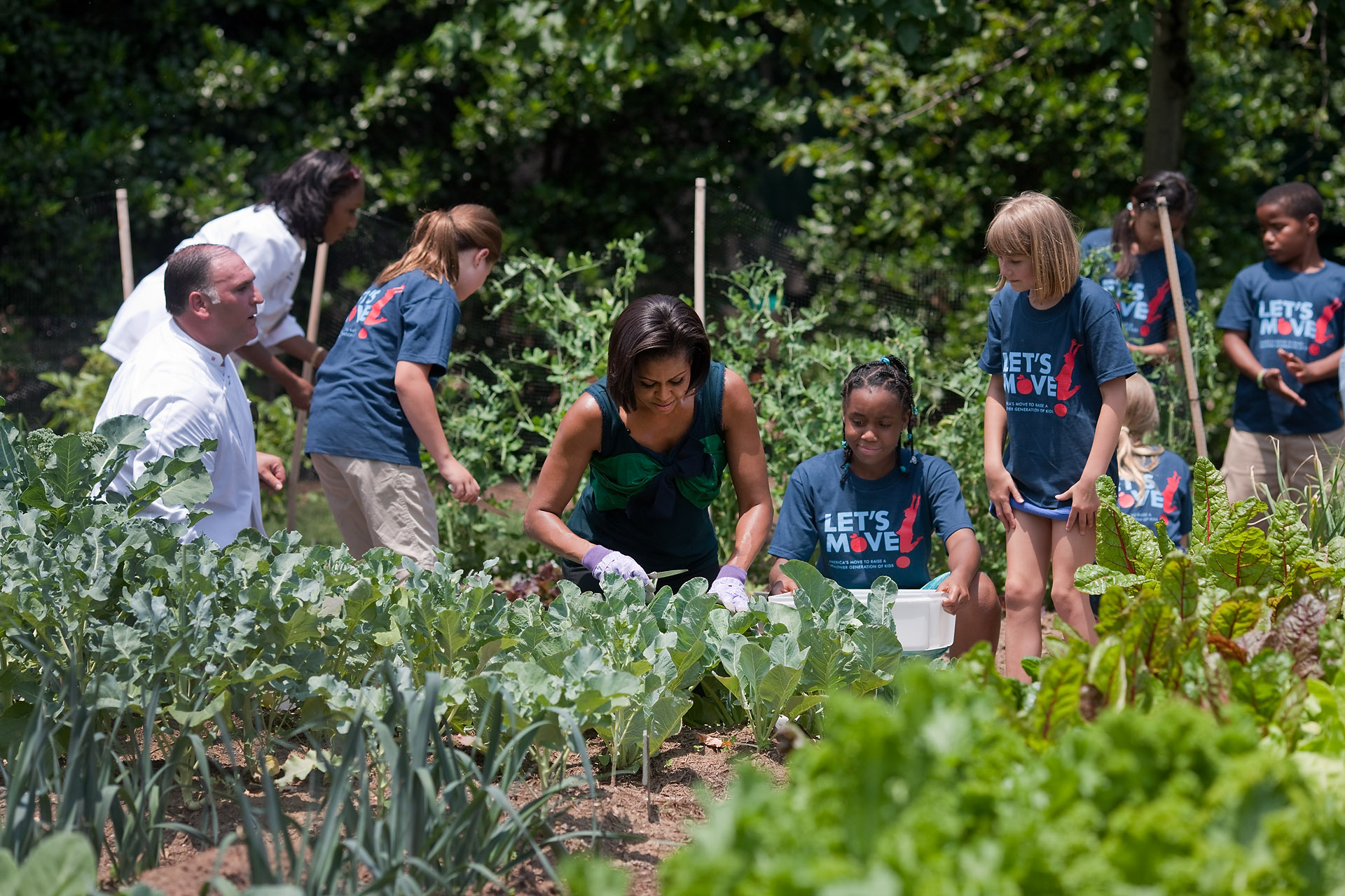 First Lady Michelle Obama and a group of children harvest vegetables 