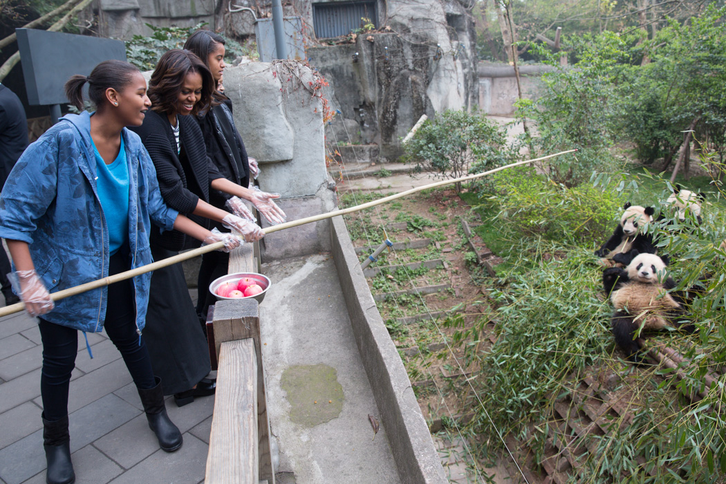 First Lady Michelle Obama, Sasha, Malia and Mrs. Robinson feed apples to Giant Pandas during their visit to Chengdu Panda Base
