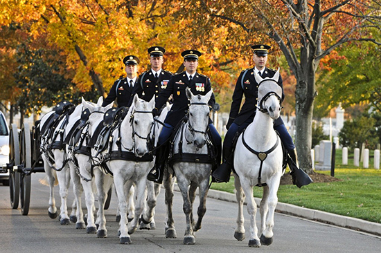 Caisson Platoon, 3rd U.S. Infantry Regiment