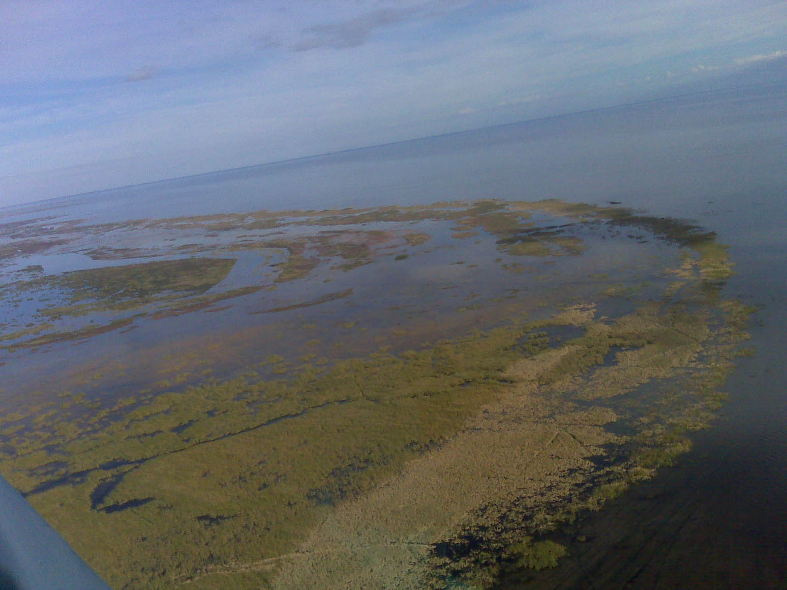 Everglades Aerial