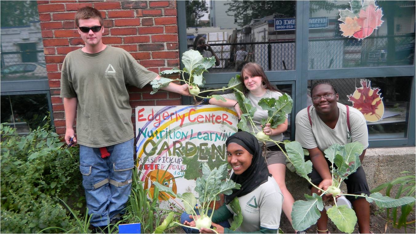 Groundwork Somerville, youth gardening