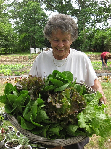 Volunteer at The Garden of St. Mark's