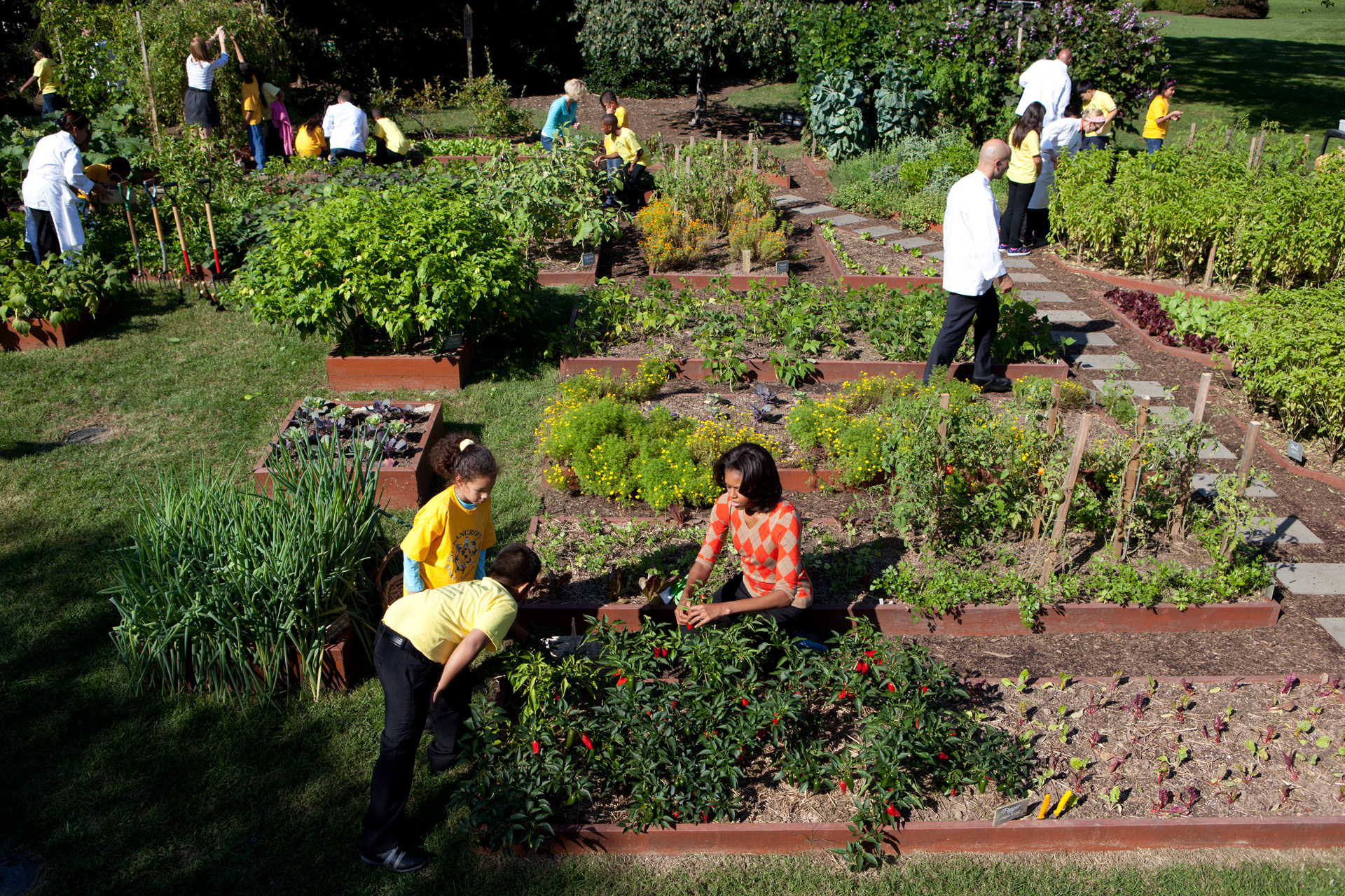 Third White House Kitchen Garden Harvest