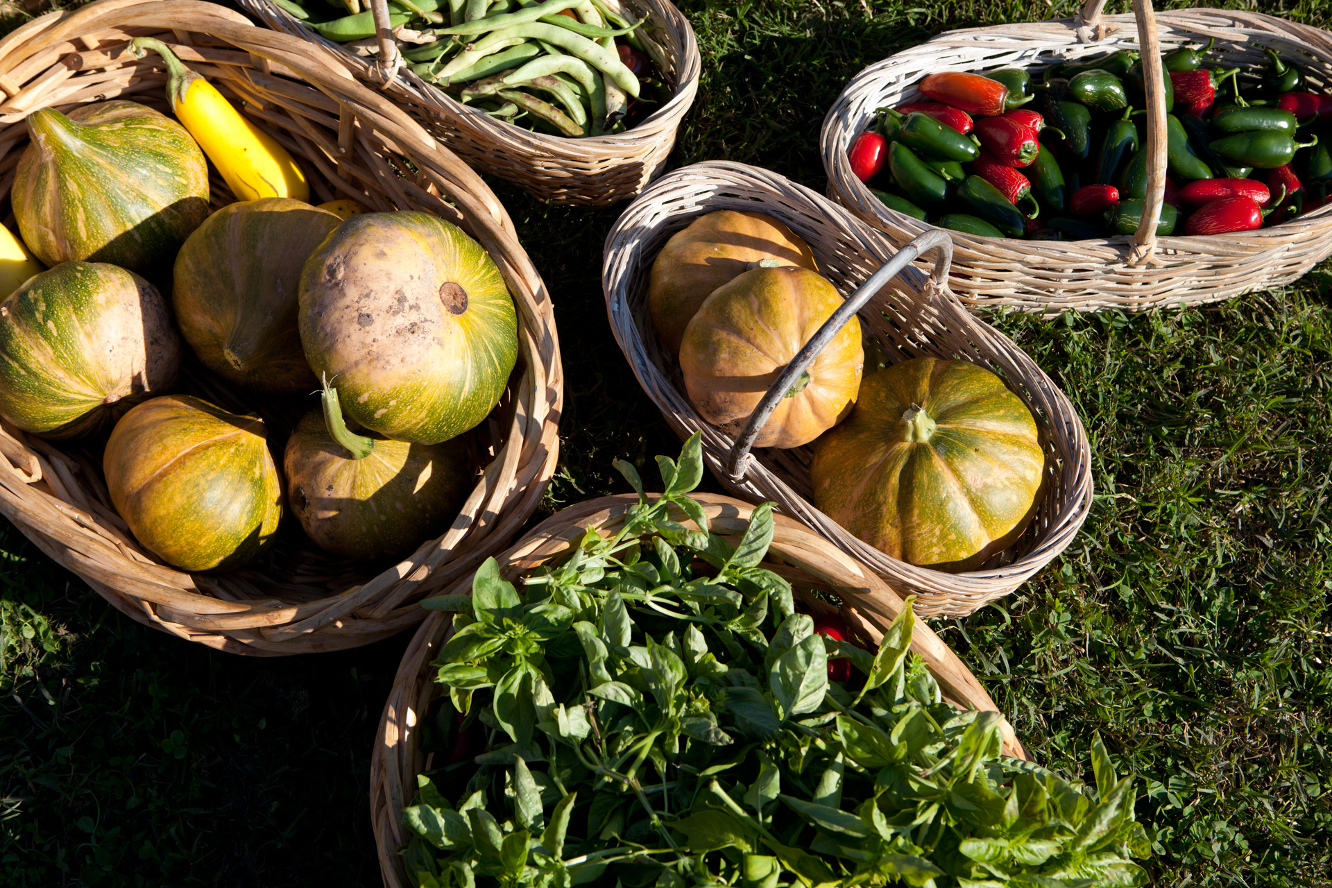 Vegetables from the White House Kitchen Garden