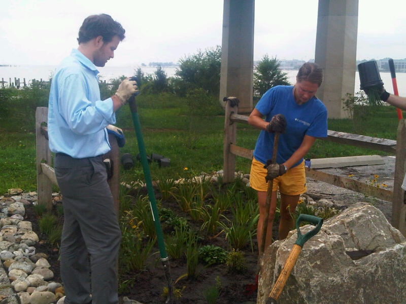 Rain Garden