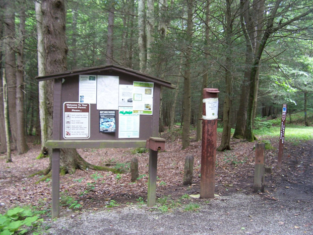 Monongahela National Forest campground