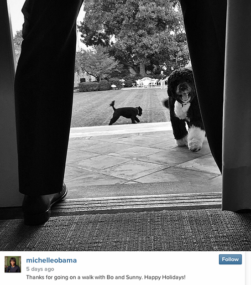 The First Dogs Take Over The First Lady's Instagram Account