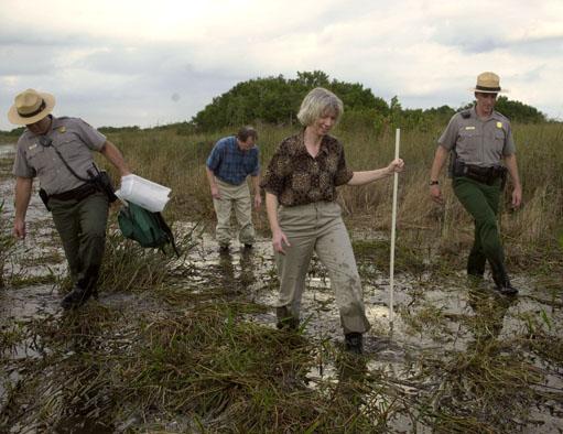 Secretary Norton in the Everglades