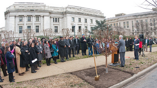 USDA Commemorates the “New Year of the Trees” 