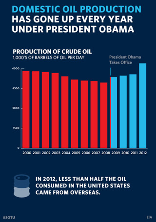 Infographic 1