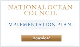 National Ocean Council Implementation Plan