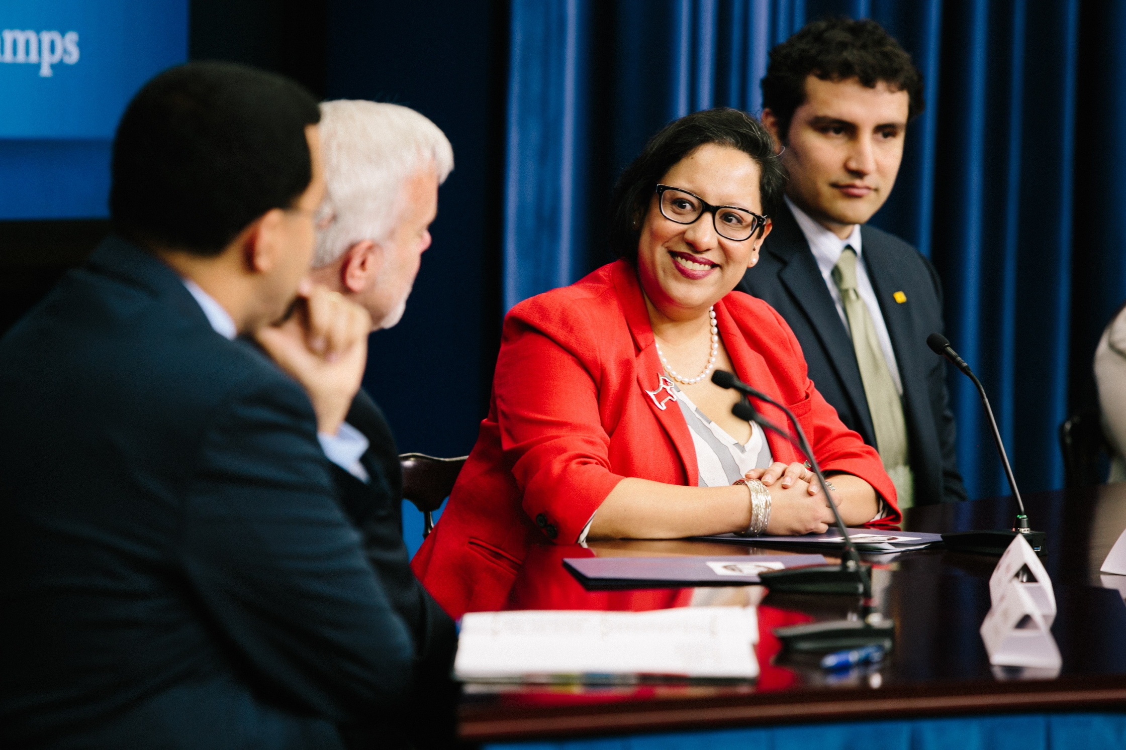 Panel Photo