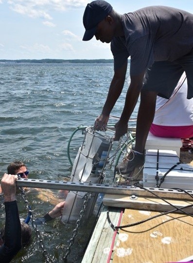 Hands-on science—field-testing nutrient sensors in the Chesapeake Bay, while dodging jellyfish stings.  Photo Credit: Alliance for Coastal Technologies, University of Maryland Center for Environmental Science.