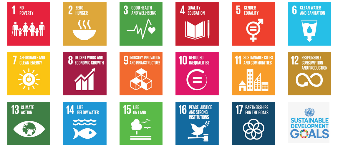 The 17 Sustainable Development Goals